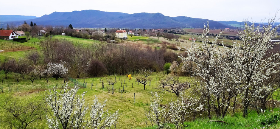 Zalaszántó Szent Donát kápolnától látható panoráma. Fotó: Judák Ambrus